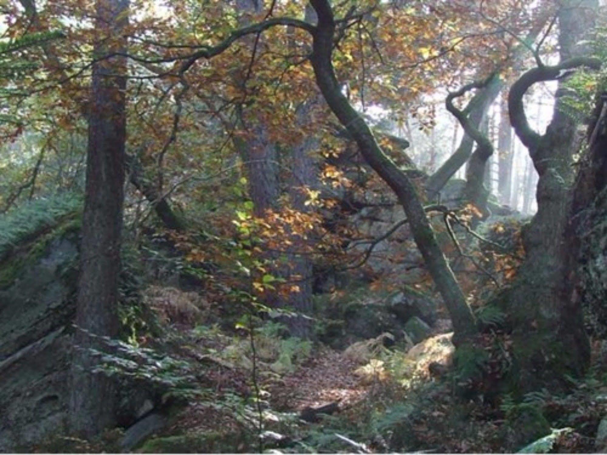 Auberge D'Hotes L'Instant Le Hohwald Kültér fotó
